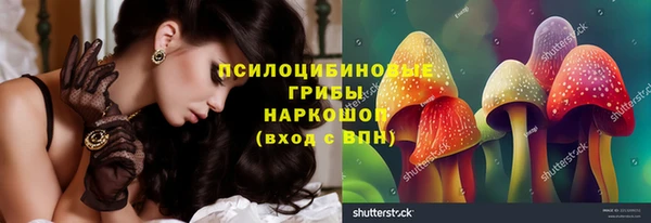 apvp Костерёво