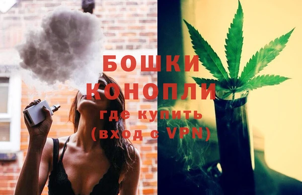 СК Белая Холуница