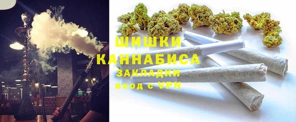 твердый Коряжма
