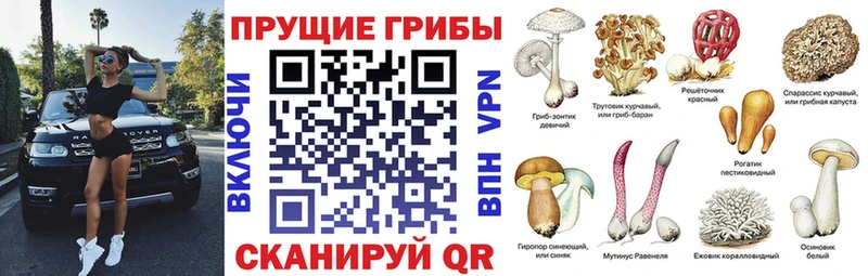 это телеграм  Кудымкар  Галлюциногенные грибы Psilocybine cubensis  KRAKEN маркетплейс 