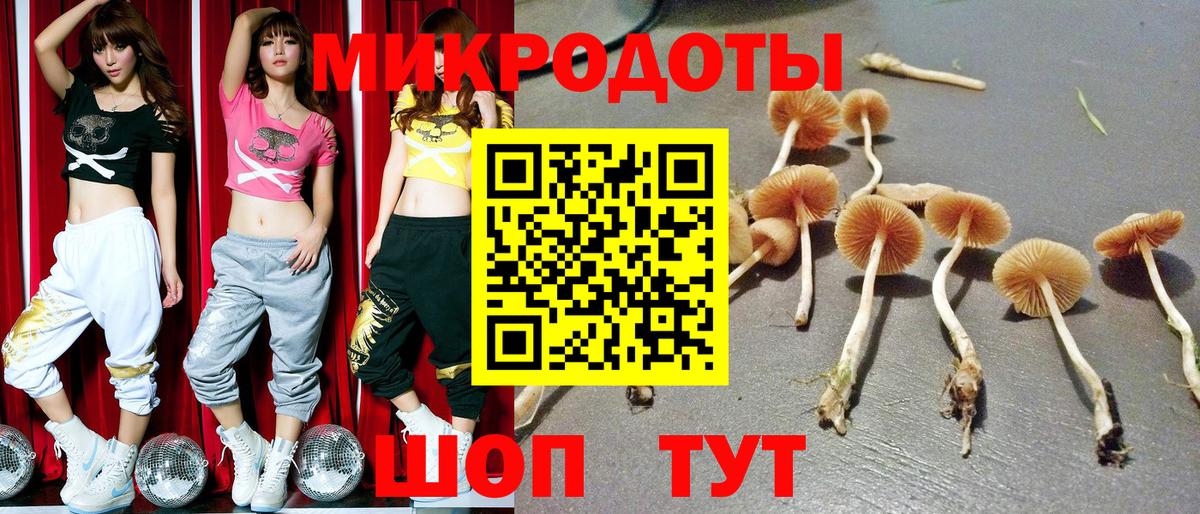 Псилоцибиновые грибы мухоморы Кудымкар