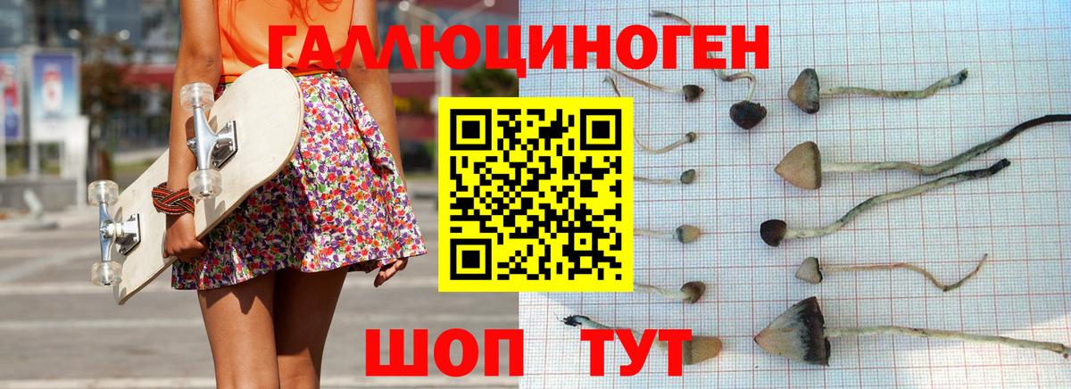 Галлюциногенные грибы Cubensis  Галлюциногенные грибы прущие грибы  Кудымкар 