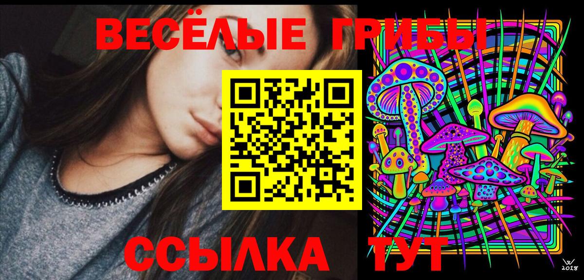Псилоцибиновые грибы Cubensis Кудымкар